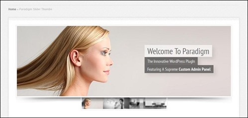 Paradigm Slider WordPress Plugin