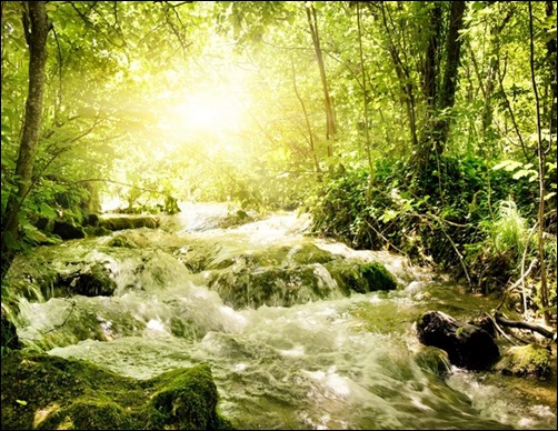 Spring-Stream-spring-wallpaper