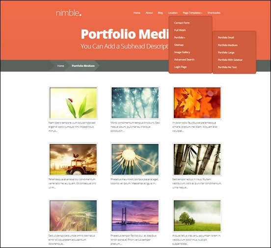 nimble-portfolio[3]